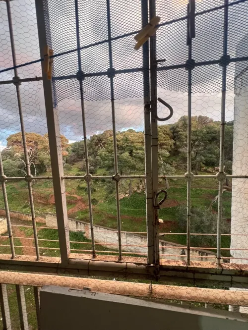 Vente Appartement F5 Alger Zeralda
