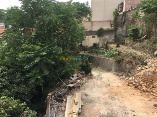 Vente Terrain Alger El mouradia