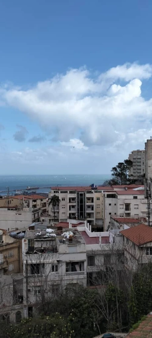 Vente Appartement F3 Alger El mouradia