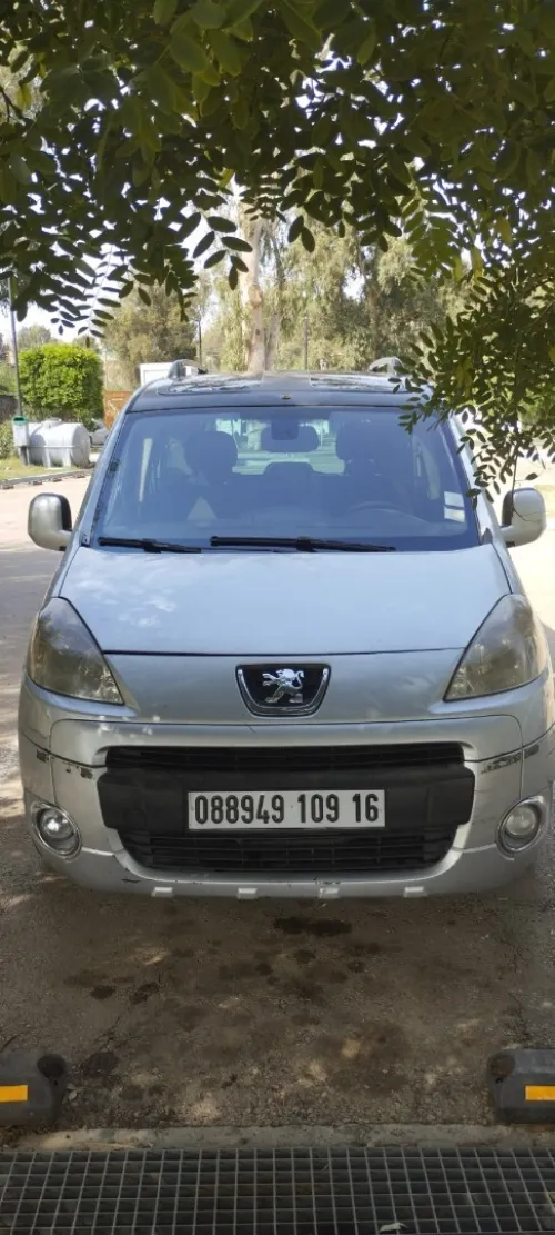 Peugeot Partner 2009 Tepee