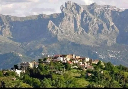 Vente Terrain Tizi Ouzou Beni yenni