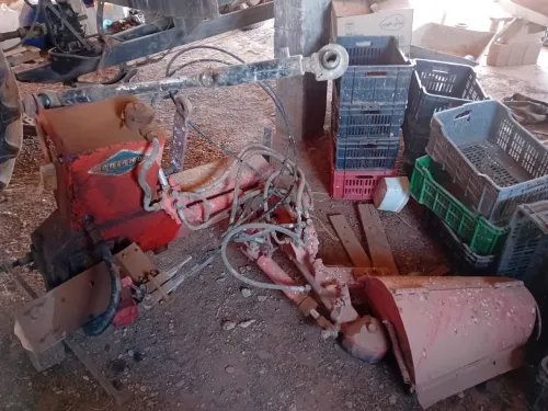 Vente Terrain Agricole Djelfa Had sahary
