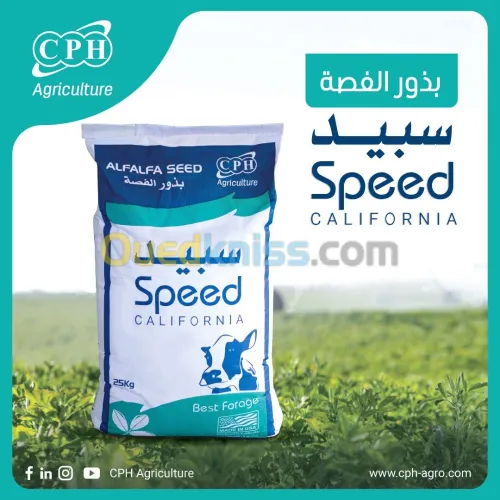 LUZERN SPEED الفصة سبيد