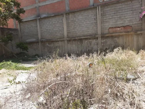 Vente Villa Alger Hussein dey