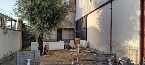 Location Hangar Blida Beni tamou