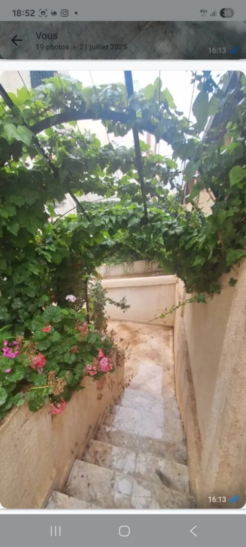 Location Villa Alger Dely brahim