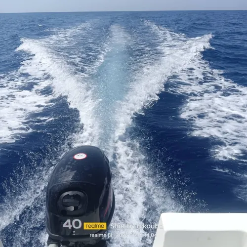 Pro marine Polyor 2025