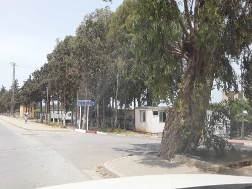 Location Local Alger Zeralda