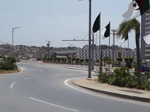 Location Local Alger Zeralda