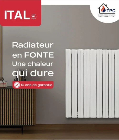 Radiateur en font 10 élemante