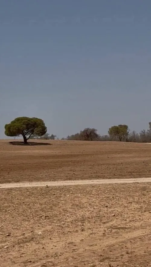 Vente Terrain Sidi Bel Abbès Sidi lahcene