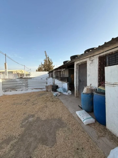 Vente Terrain Agricole Sidi Bel Abbès Sidi lahcene