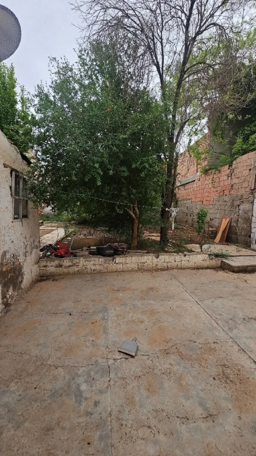 Vente Terrain Sidi Bel Abbès Sidi bel abbes