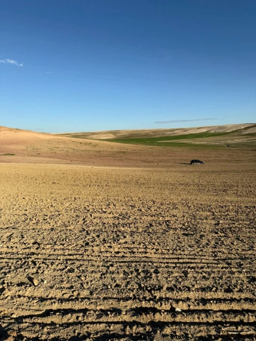 Vente Terrain Agricole Sidi Bel Abbès Zerouala
