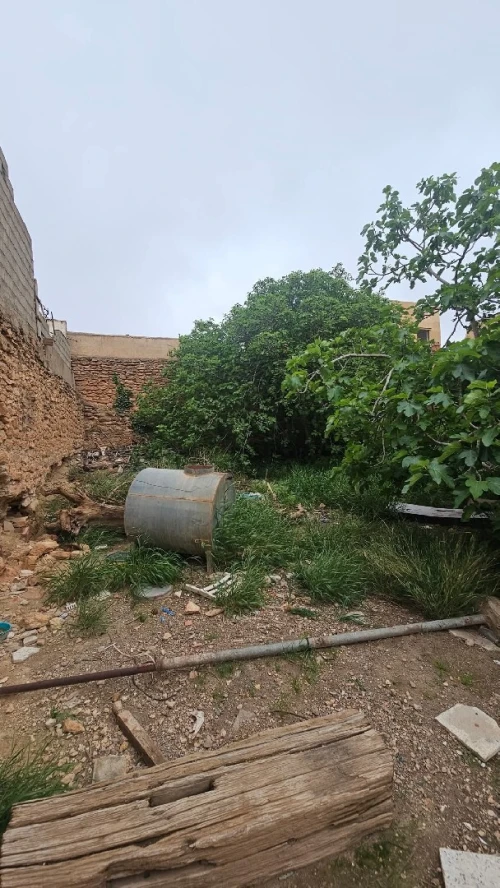 Vente Terrain Sidi Bel Abbès Sidi bel abbes