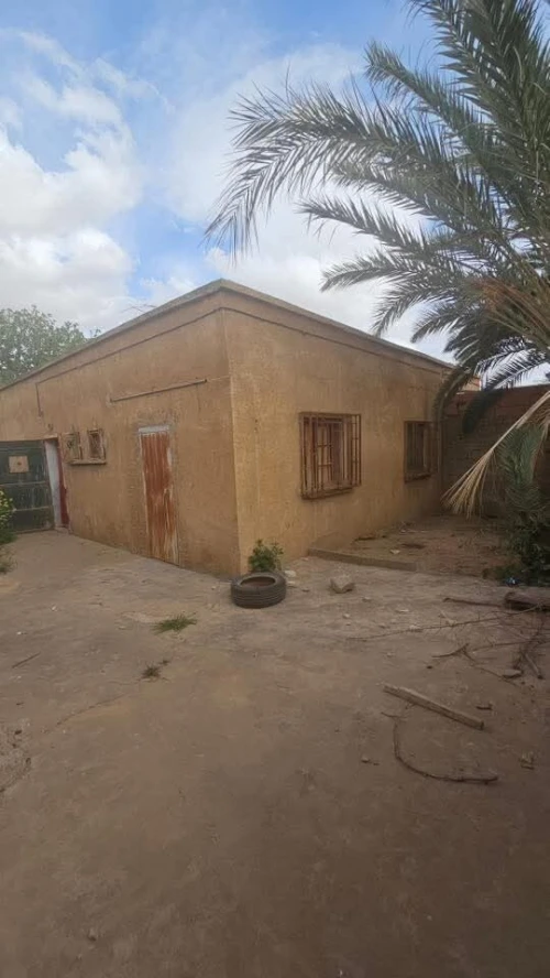 Vente bien immobilier Sidi Bel Abbès Amarnas