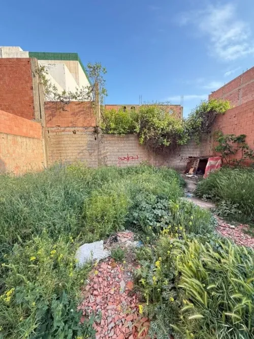 Vente Terrain Sidi Bel Abbès Amarnas