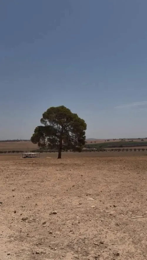 Vente Terrain Sidi Bel Abbès Sidi lahcene