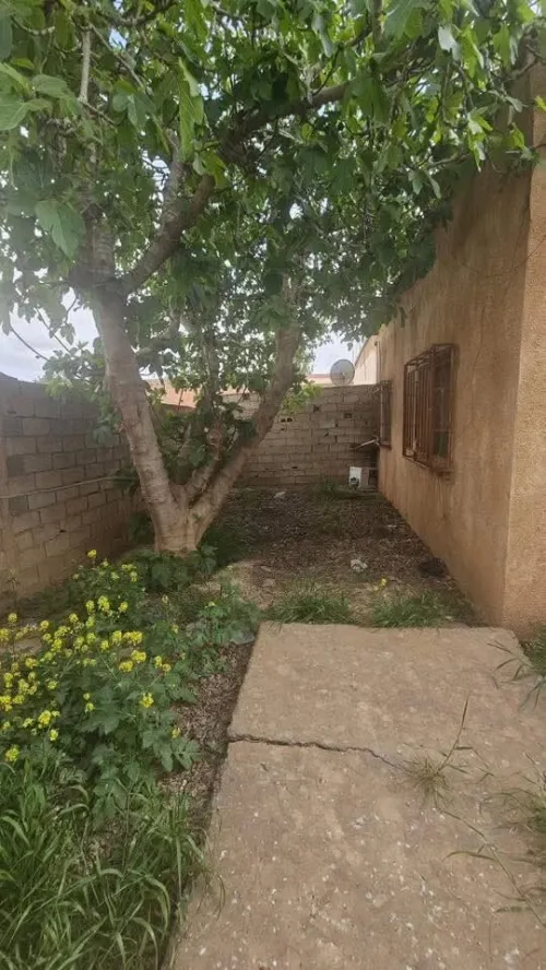 Vente bien immobilier Sidi Bel Abbès Amarnas