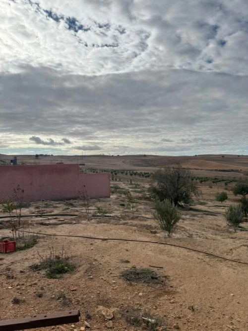 Vente Terrain Sidi Bel Abbès Mostefa ben brahim