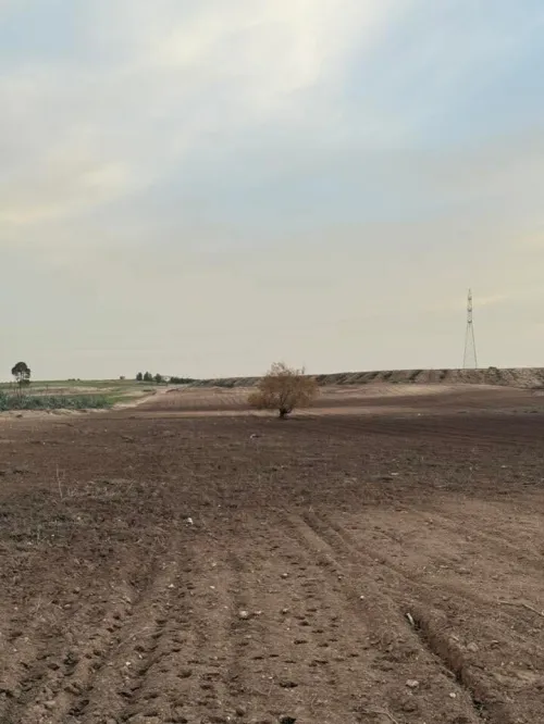 Vente Terrain Sidi Bel Abbès Tilmouni