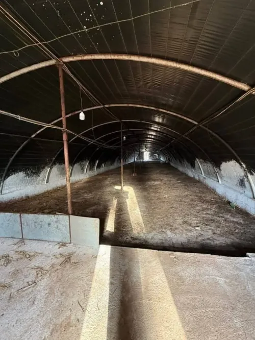 Vente Terrain Agricole Sidi Bel Abbès Sidi lahcene
