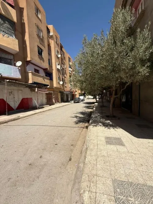 Vente Local Sidi Bel Abbès Sidi lahcene