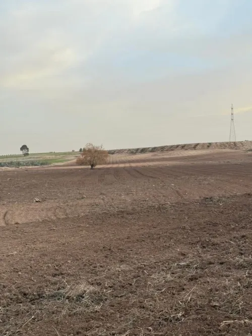 Vente Terrain Sidi Bel Abbès Tilmouni