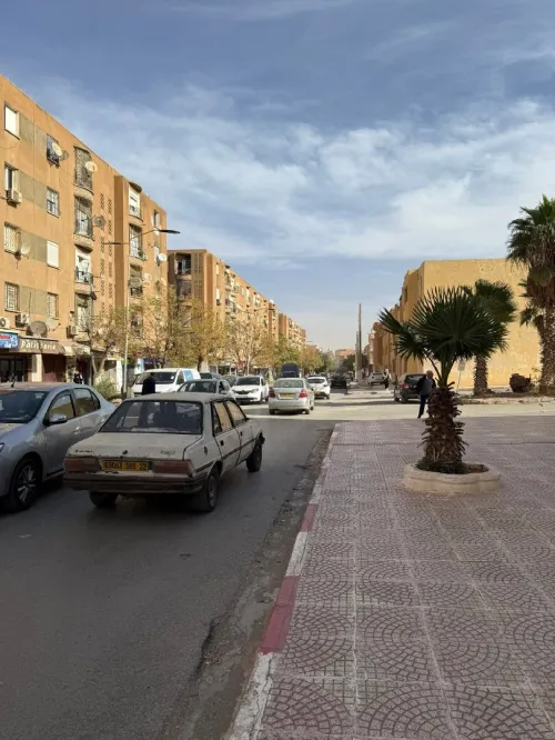 Vente Local Sidi Bel Abbès Sidi bel abbes