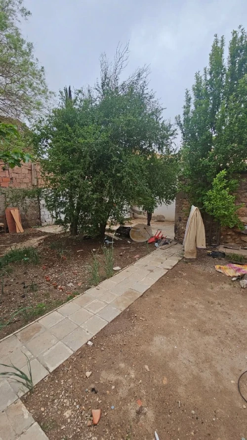 Vente Terrain Sidi Bel Abbès Sidi bel abbes