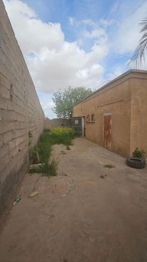 Vente bien immobilier Sidi Bel Abbès Amarnas