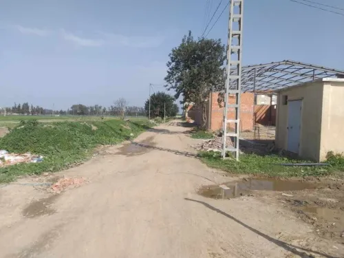 Vente Terrain Blida Boufarik