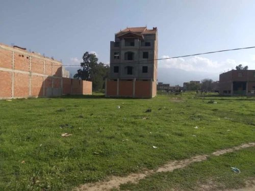 Vente Terrain Blida Boufarik