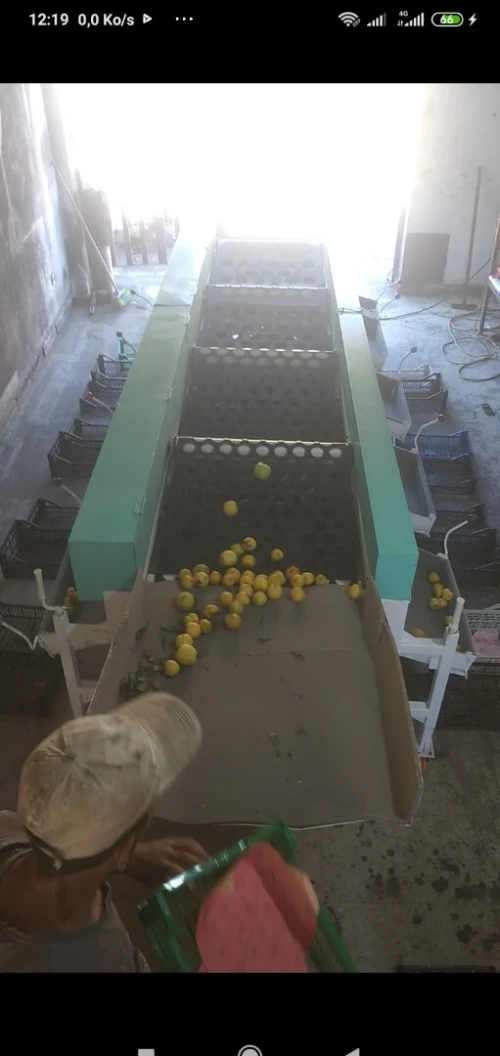 Machine triage (calibreuse) des fruits