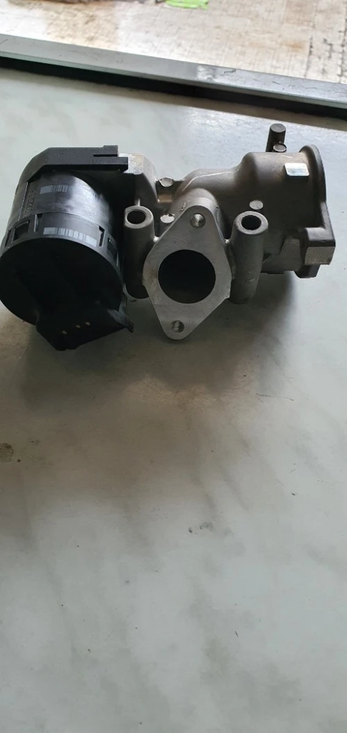 Egr 2.0 hdi  Peugeot