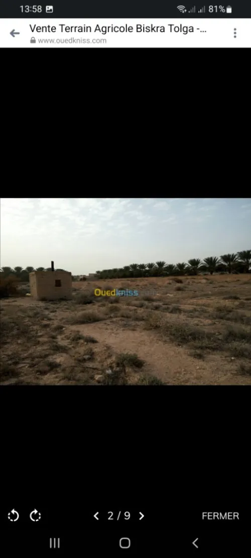 Vente Terrain Biskra Tolga