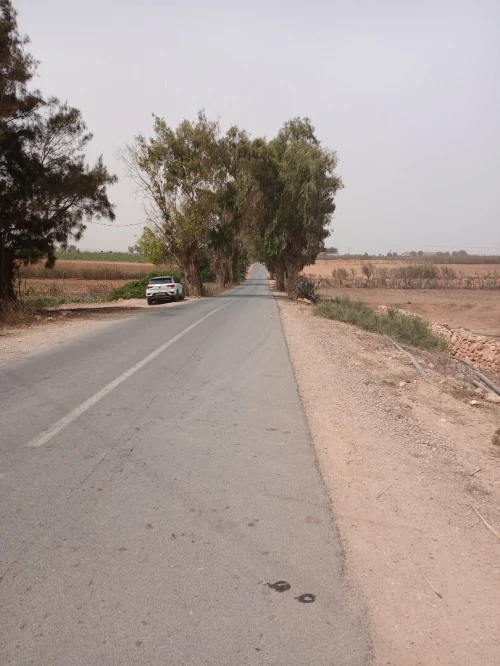 Vente Terrain Mostaganem Stidia