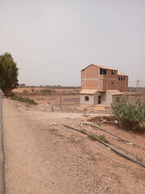Vente Terrain Mostaganem Stidia