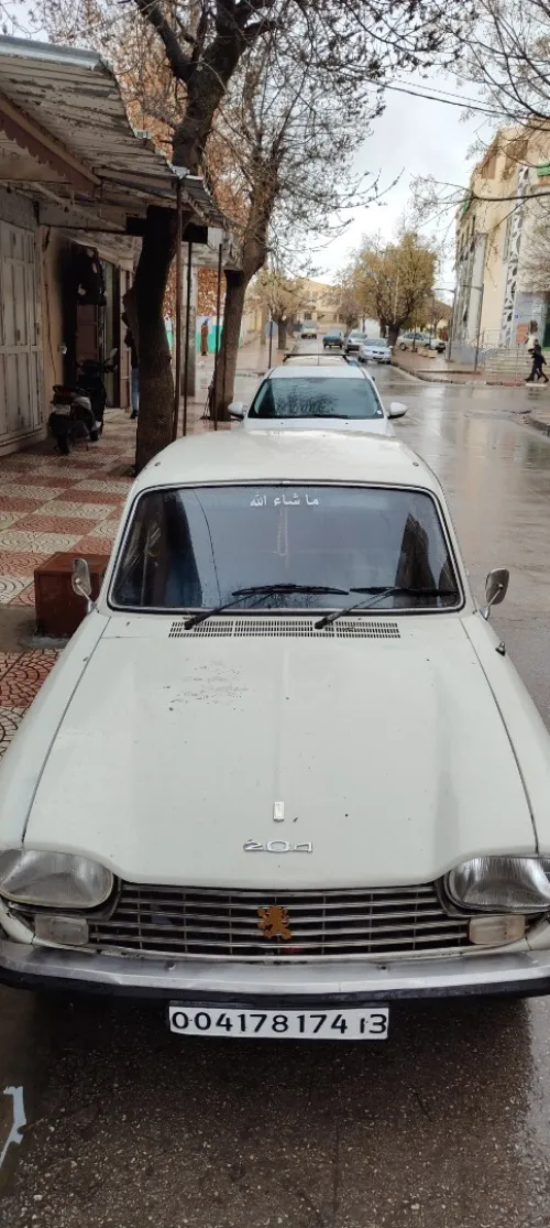 Peugeot 204 1974 204