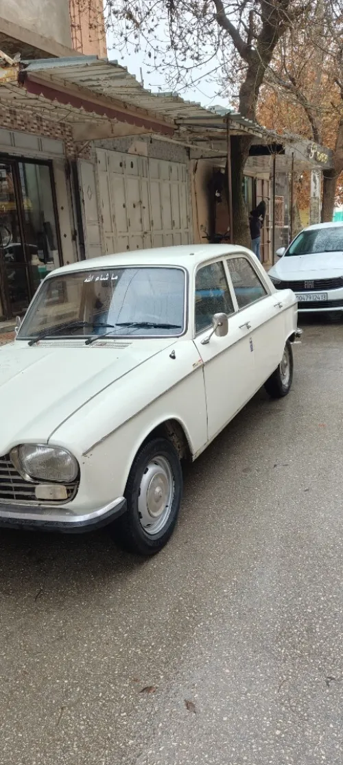 Peugeot 204 1974 204