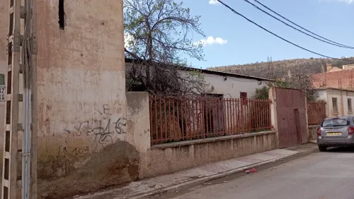 Vente Hangar - Usine Sidi Bel Abbès Tenira