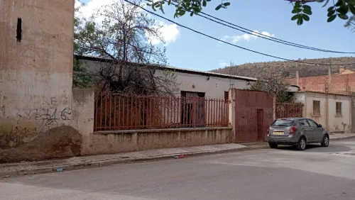 Vente Hangar - Usine Sidi Bel Abbès Tenira