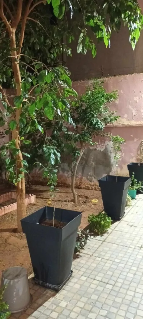 Vente Villa Oran Ain el turck