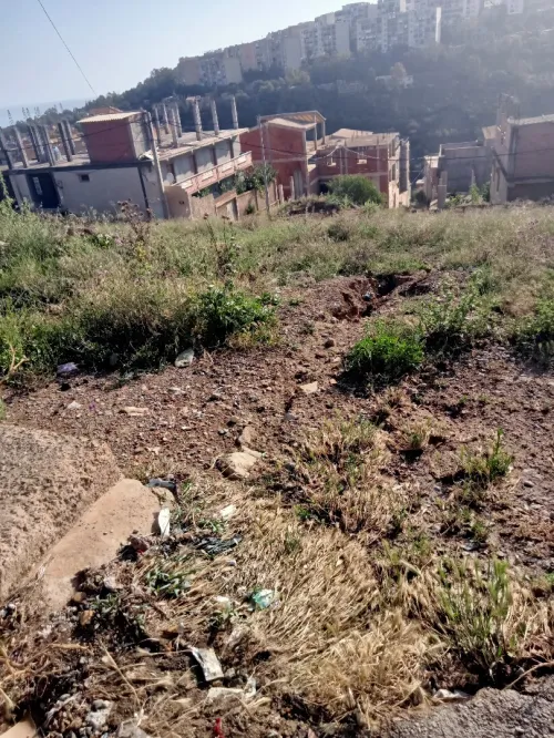 Vente Terrain Tipaza Cherchell