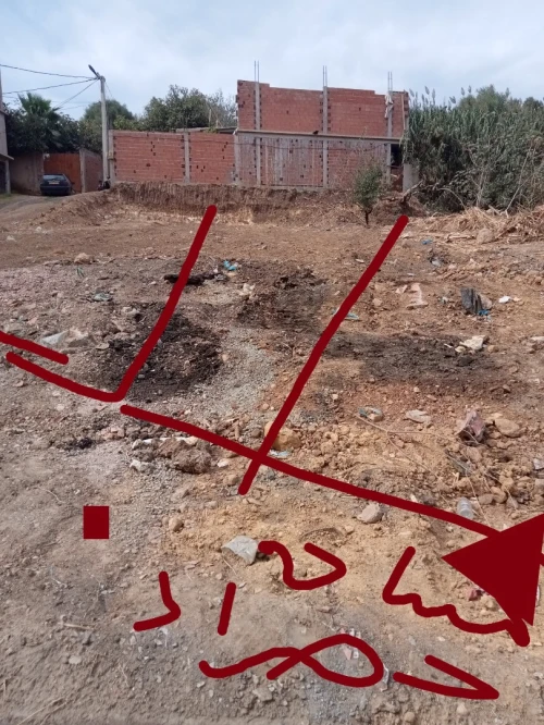 Vente Terrain Tipaza Sidi rached