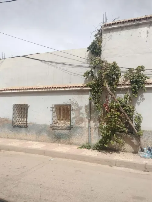 Vente Villa Tlemcen Bensekrane 7