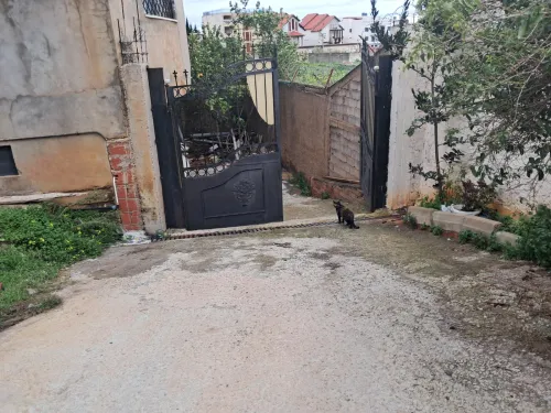 Location Local Alger Draria