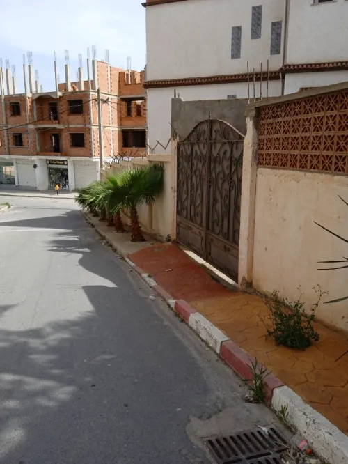 Vente Carcasse Tipaza Sidi rached