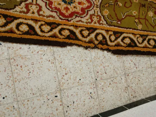 TAPIS