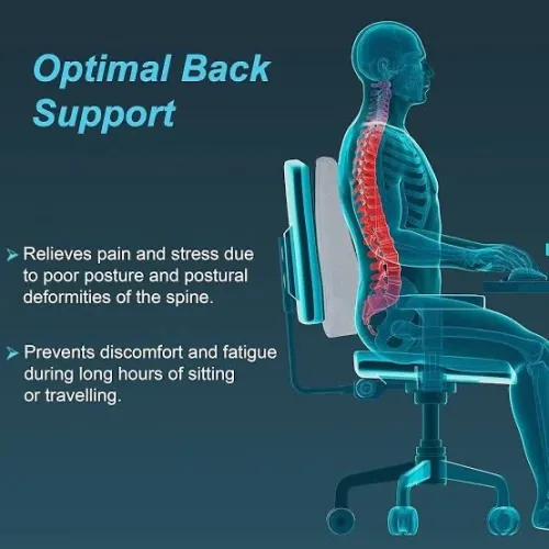 Back Rest Full Tynor